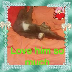 Meet your Posher, Katherine